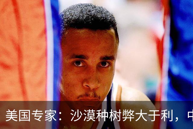 美国专家：沙漠种树弊大于利，中国不明白危害竟还敢自称环保大国